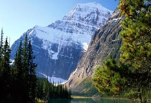 天涯社区娱乐圈八卦大爆料